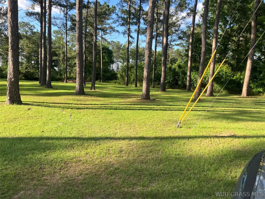 0 Bush Isle Road, Andalusia, AL 36421 - #2