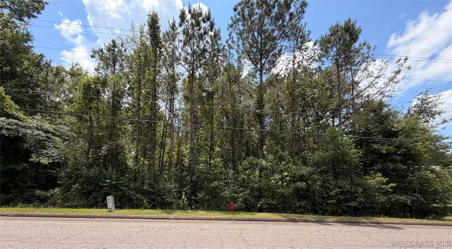 614 Spradley Drive, Troy, AL 36079 - #2