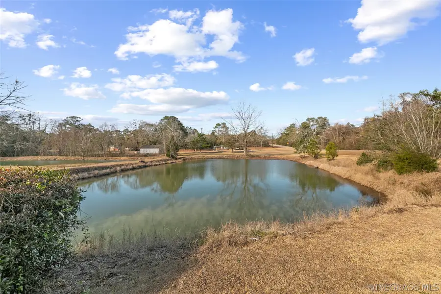 314 Alpha Street, Midland City, AL 36350 - #3