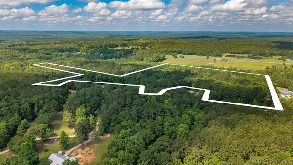 0 County Road 245 Road, Elba, AL 36323