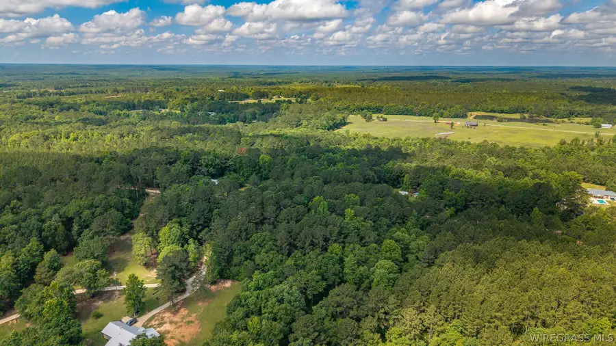 0 County Road 245 Road, Elba, AL 36323 - #2