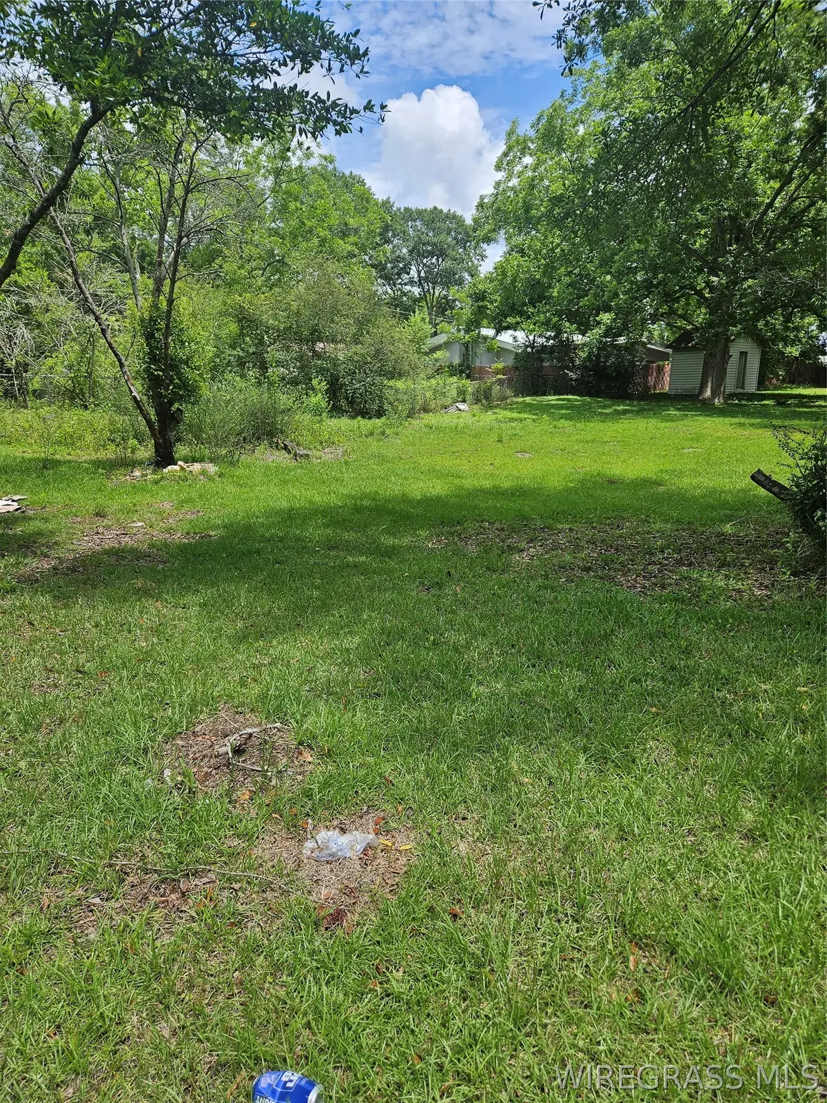 201 Mcgee Street, Enterprise, AL 36330 - #1