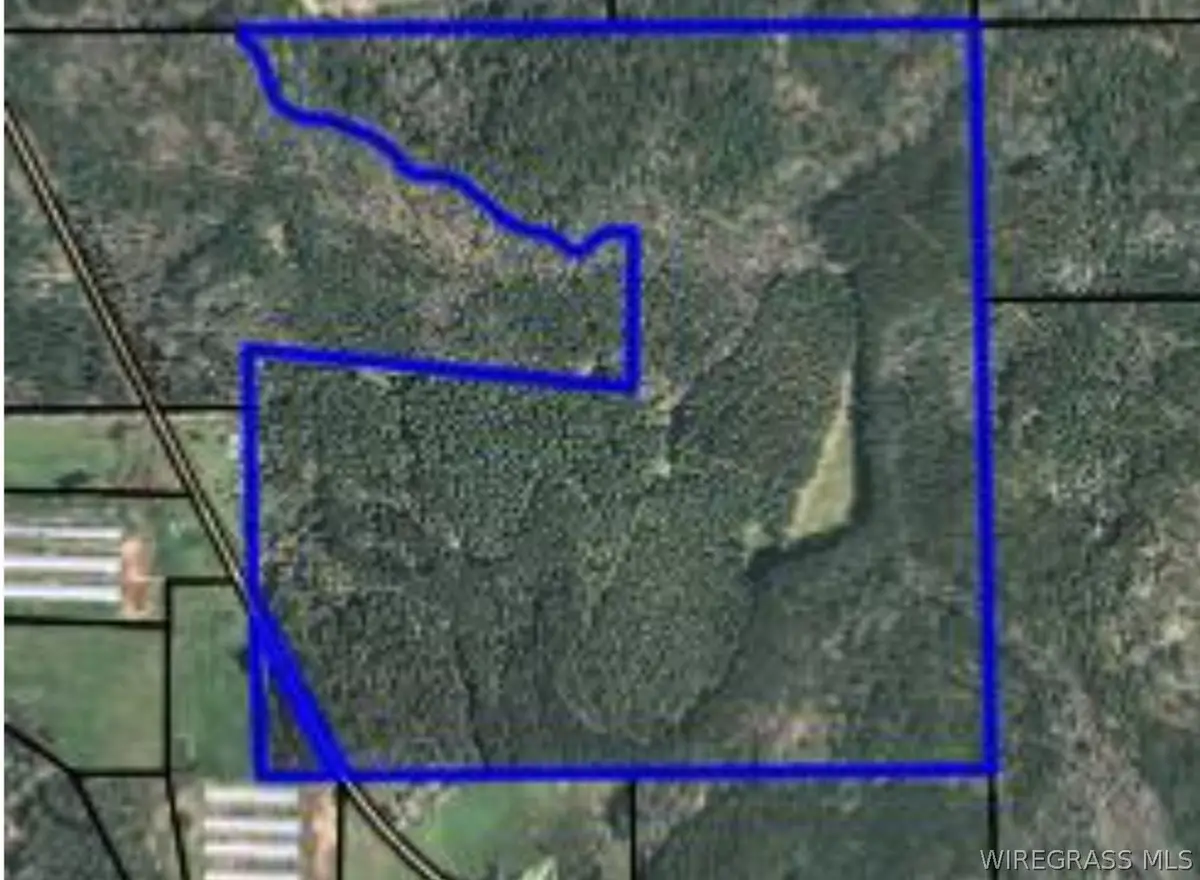 0 Caldwell Road, Samson, AL 36477 - #1