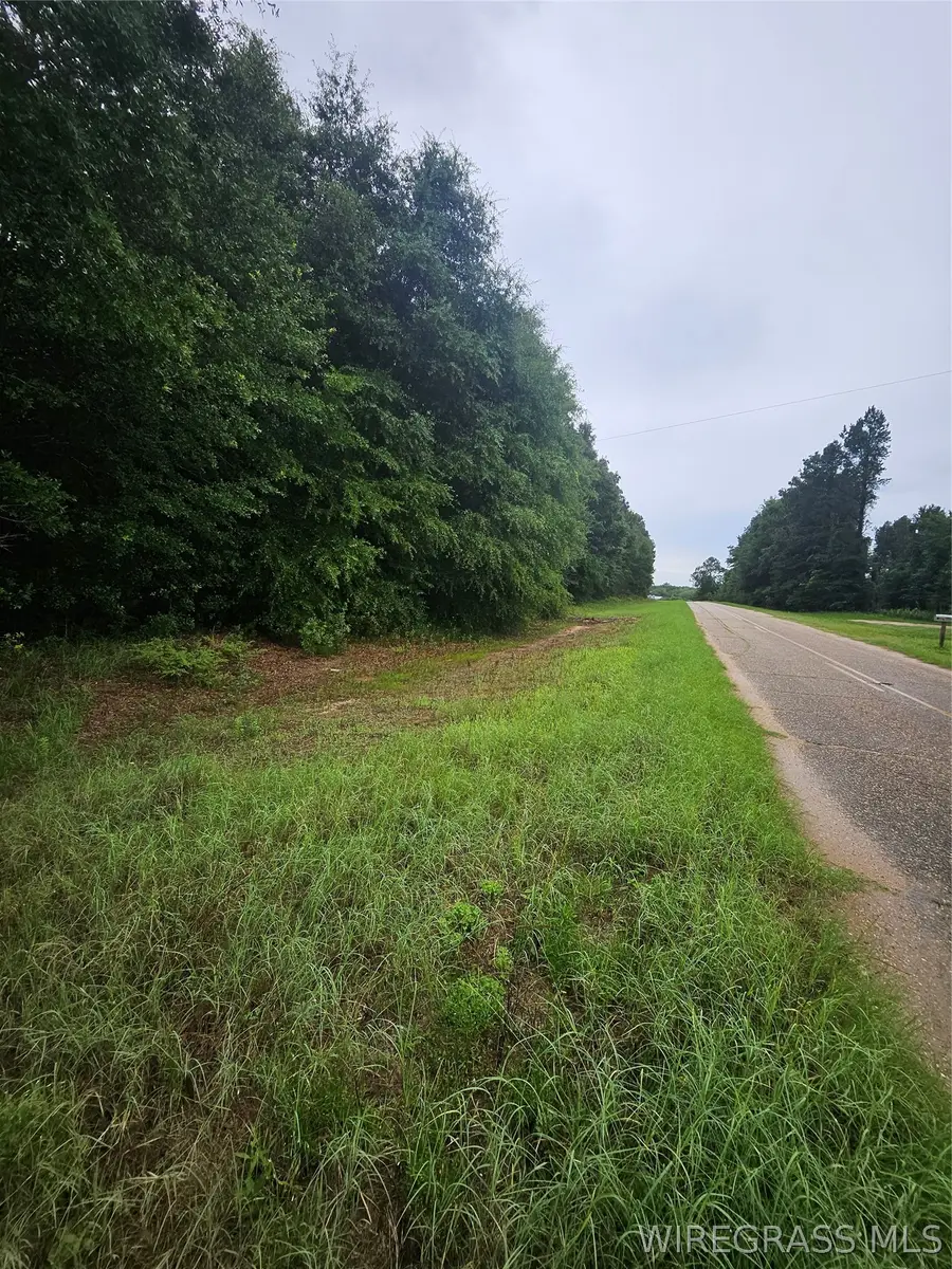 0 Caldwell Road, Samson, AL 36477 - #2