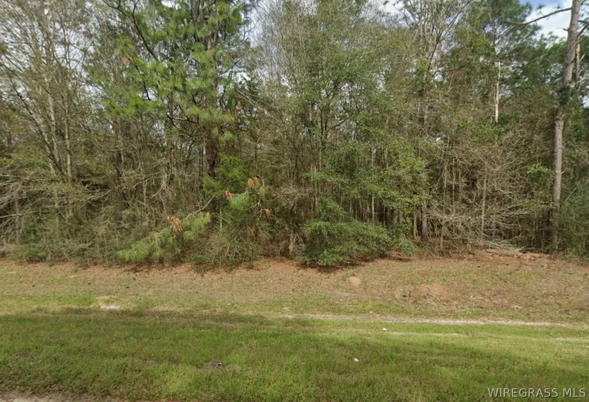 00 Caldwell Road, Samson, AL 36477 - #1