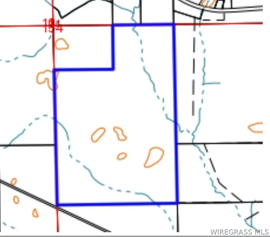 00 Caldwell Road, Samson, AL 36477 - #2