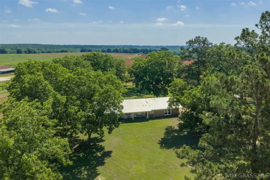 288 Bill Wooten Road, Chancellor, AL 36316 - #2