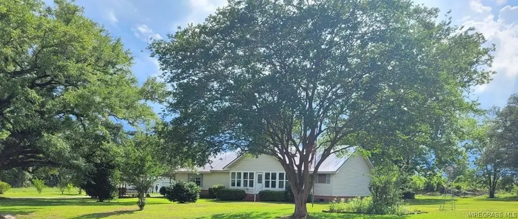 8422 State Highway 605, Cottonwood, AL 36320 - #1