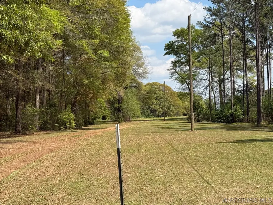 2918 Highway 51 Highway, Enterprise, AL 36330 - #3