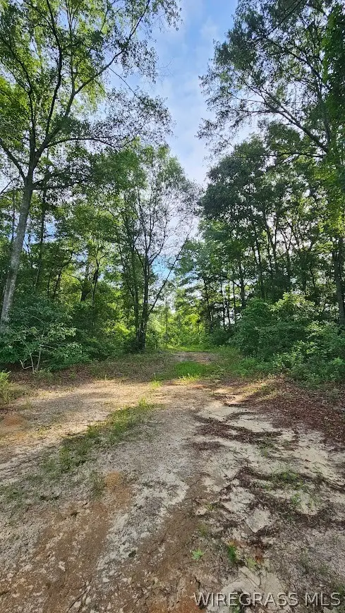 931 County Road 216, Ariton, AL 36311