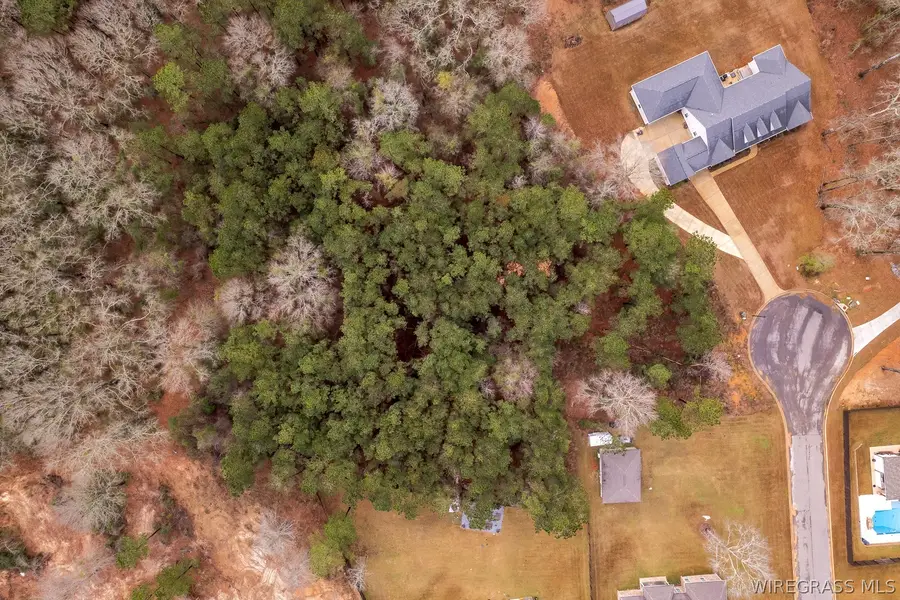 101 Preserve Drive, Enterprise, AL 36330 - #2