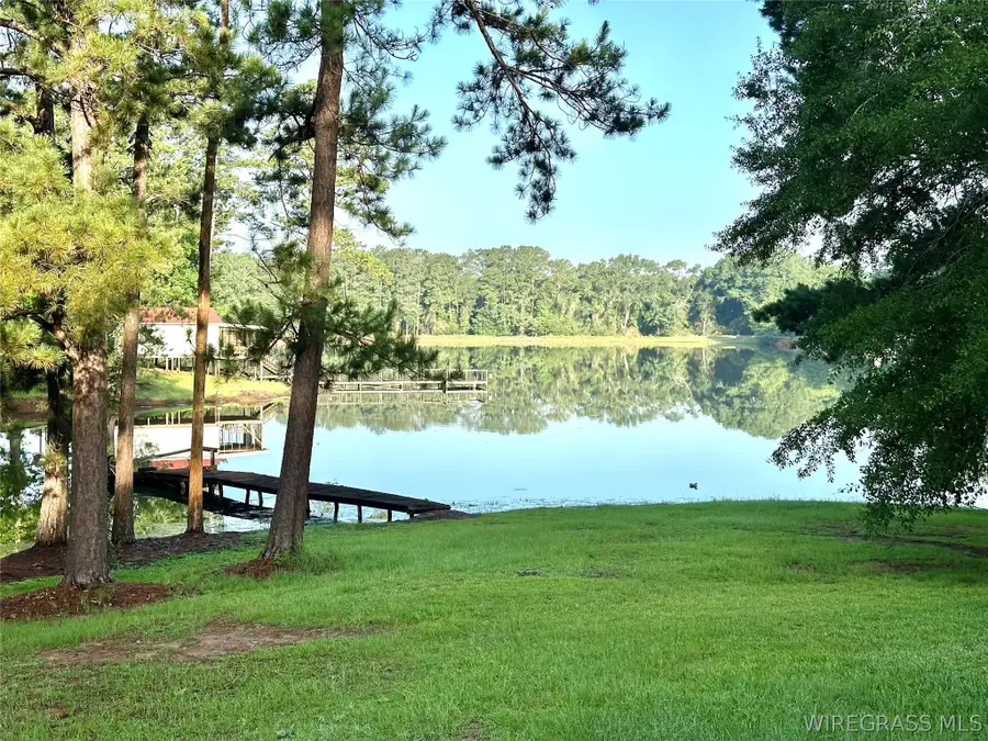 510 Windsor Lake Road, Chancellor, AL 36316 - #2