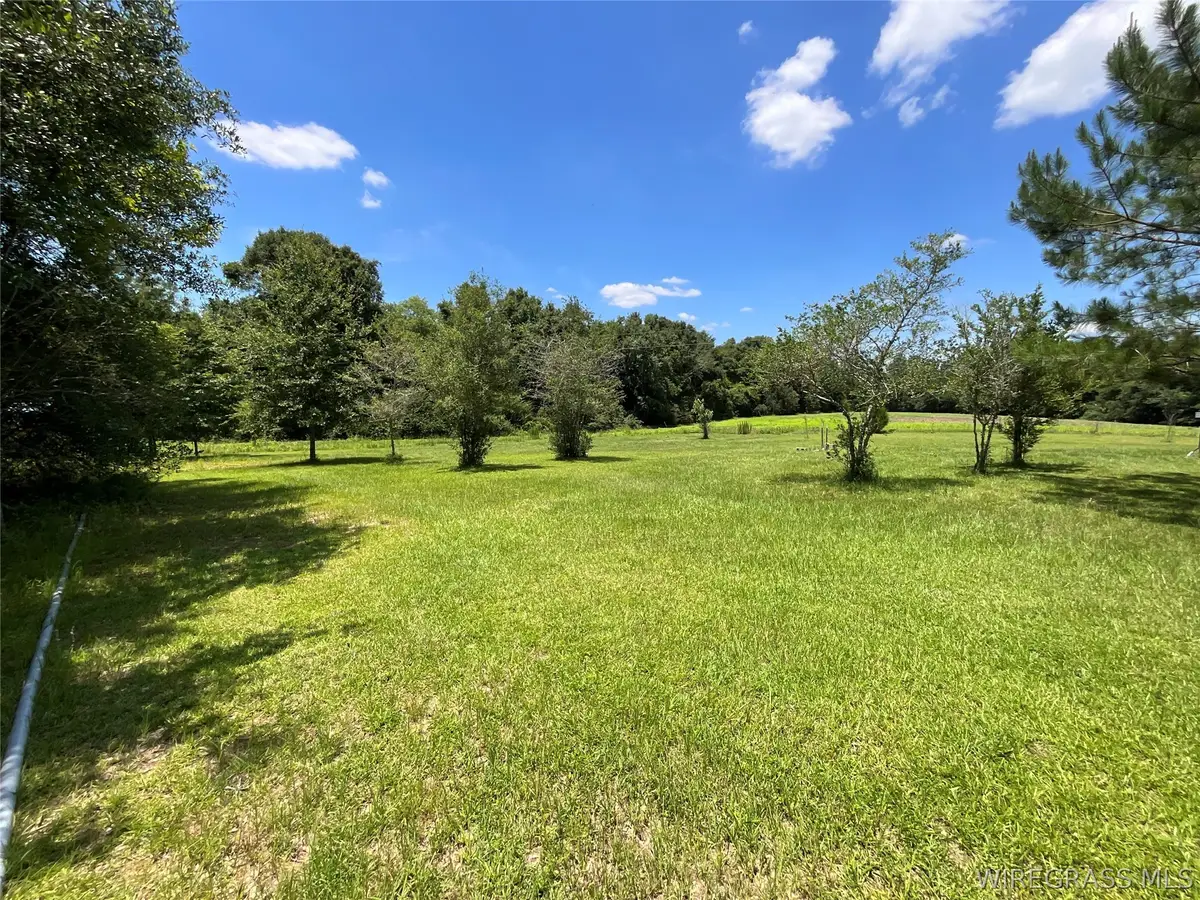 2912 County Road 1, Samson, AL 36477 - #1