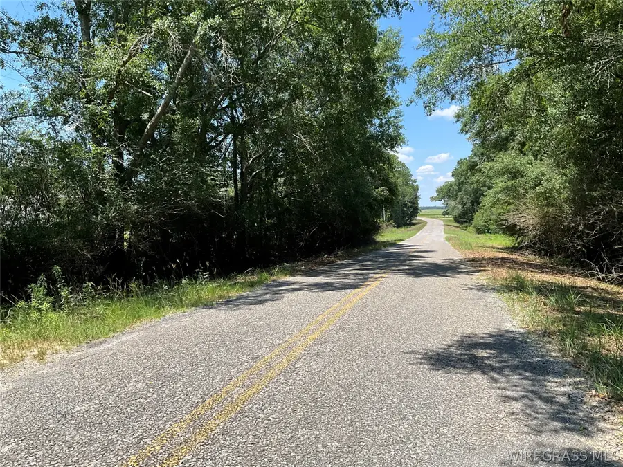 2912 County Road 1, Samson, AL 36477 - #3