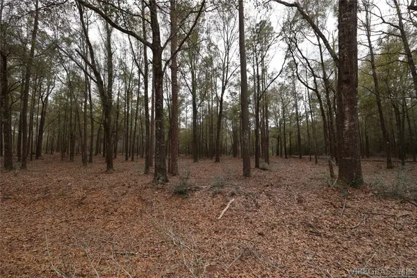 2190 County Road 156, Enterprise, AL 36330