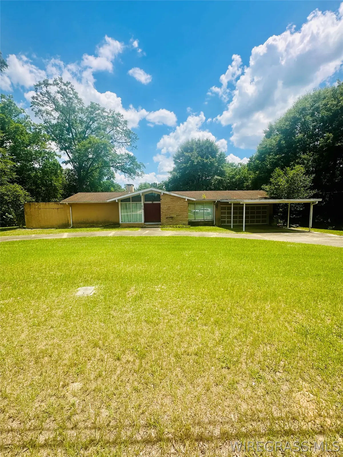 215 Morgan Lane, Ozark, AL 36360 - #1