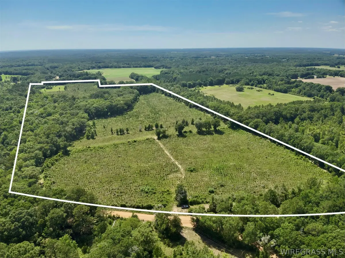 60 Acres Hutton Road, Hartford, AL 36344 - #1