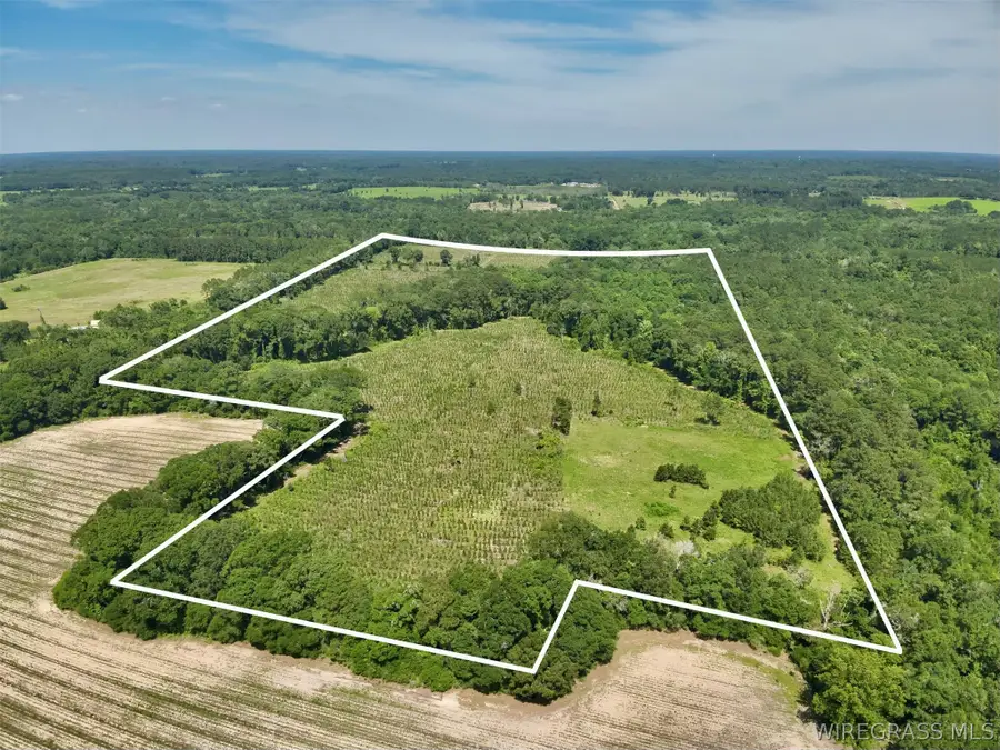 60 Acres Hutton Road, Hartford, AL 36344 - #3