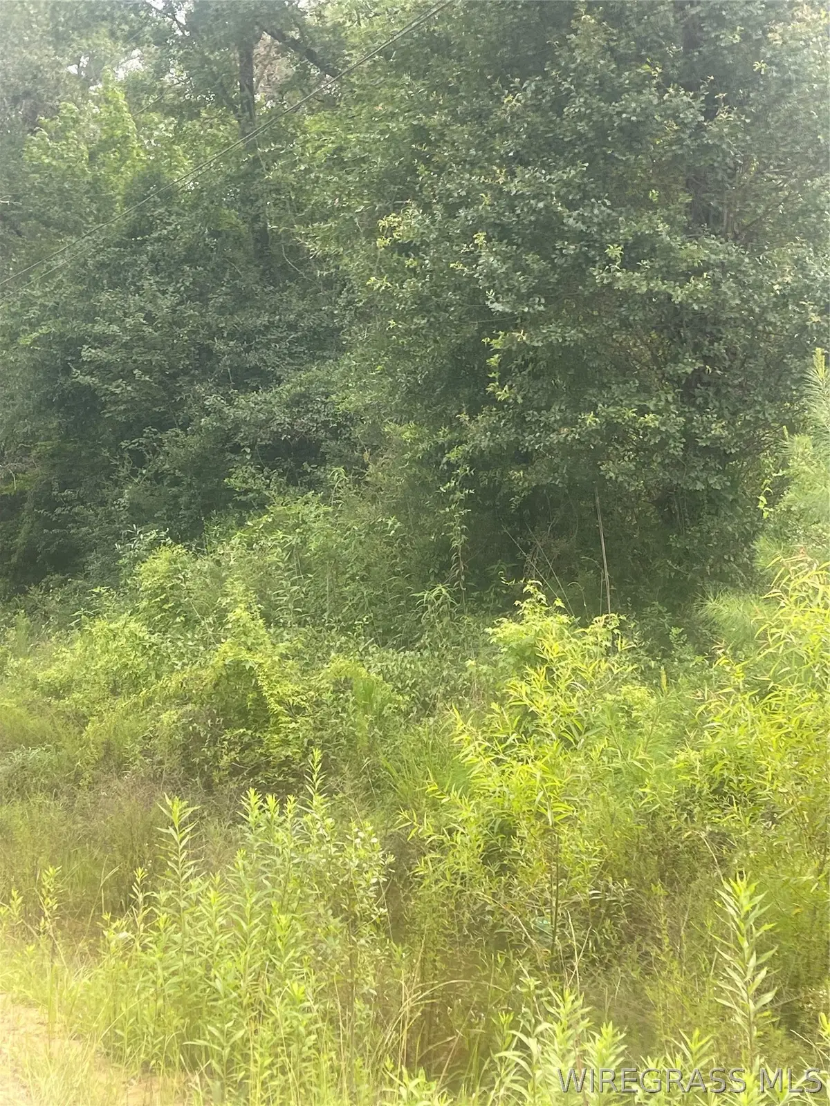 0 W Forest Drive W #Lot 24, Daleville, AL 36330 - #1