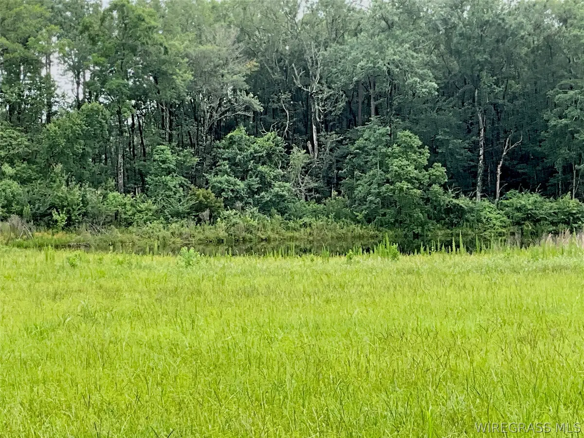 0 Smyrna Road, Florala, AL 36442 - #1