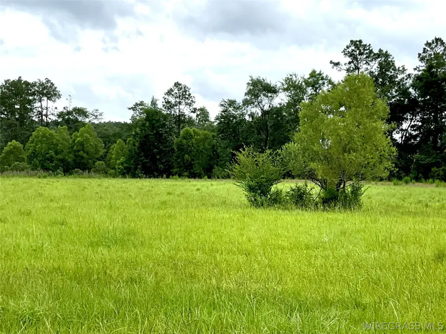 0 Smyrna Road, Florala, AL 36442 - #3