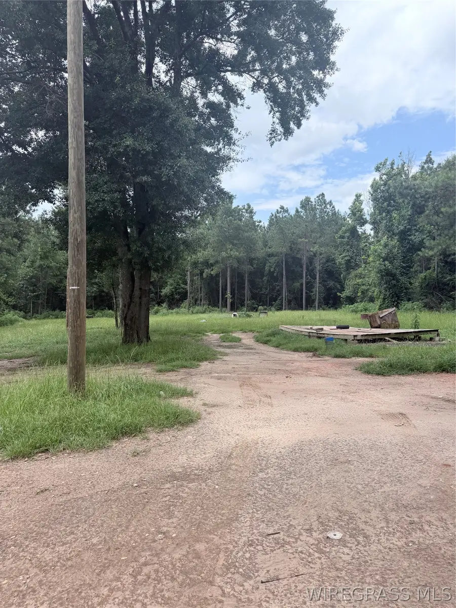 3604 S Alabama Avenue, Monroeville, AL 36460 - #3