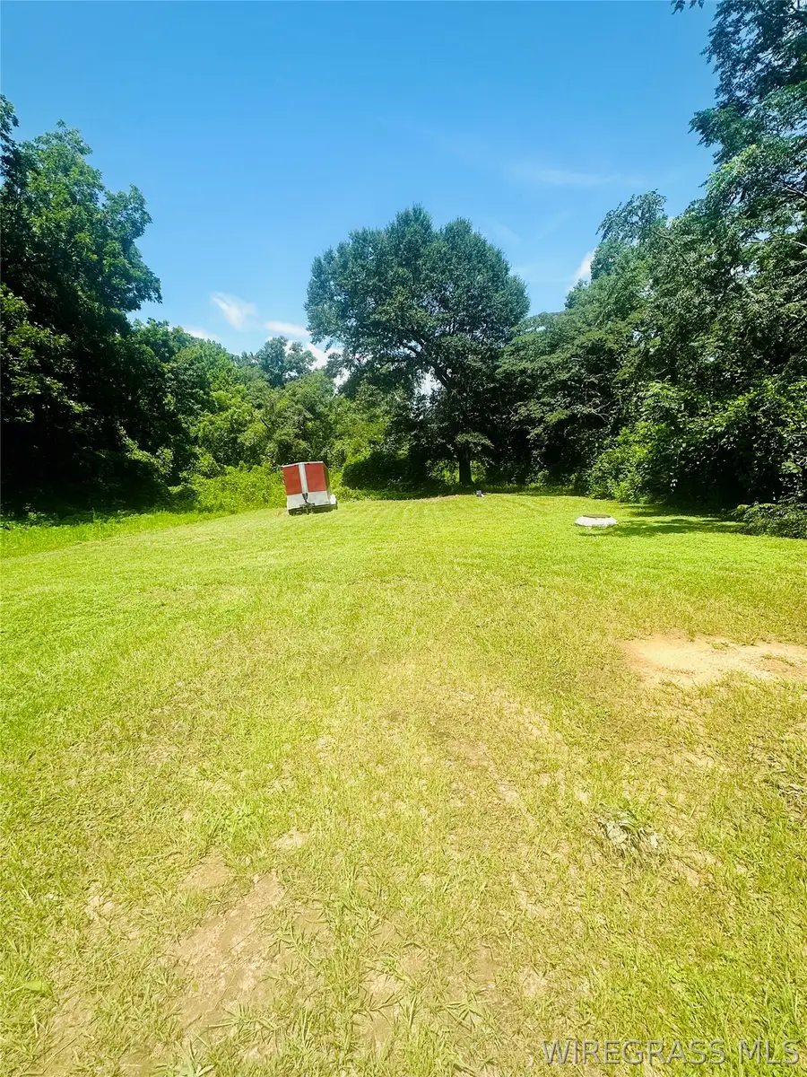 217 Dominey Street, Enterprise, AL 36330 - #3