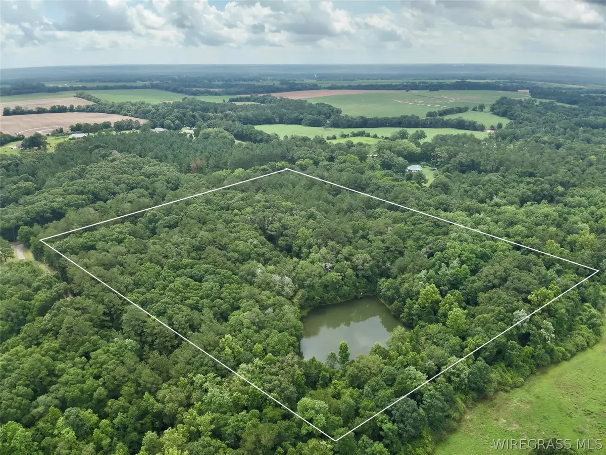 22 Acres Private Road 1702, Daleville, AL 36322 - #1