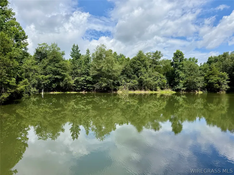 22 Acres Private Road 1702, Daleville, AL 36322 - #2