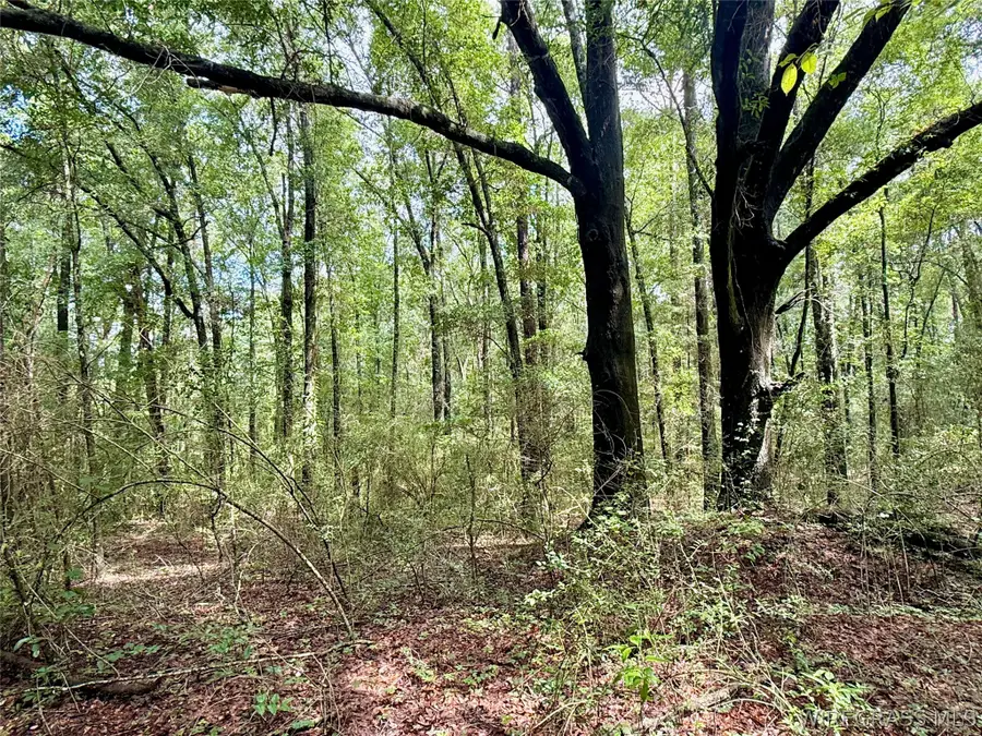 22 Acres Private Road 1702, Daleville, AL 36322 - #3