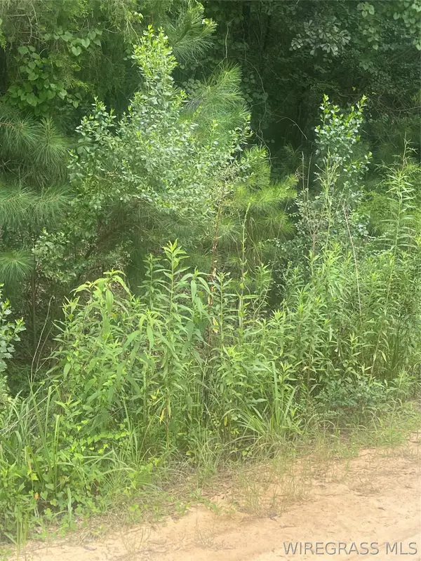 0 E Forest Road #Lot 59-61, Daleville, AL 36322