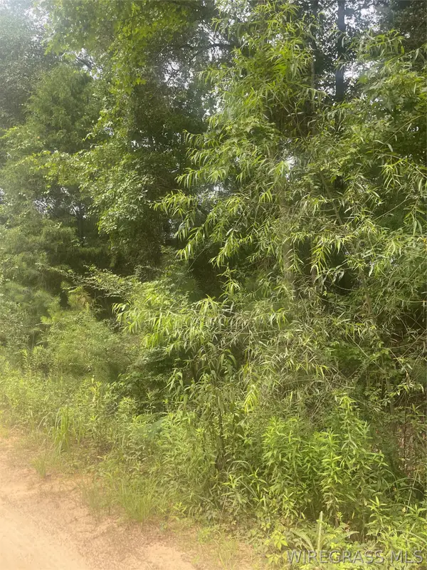 0 E Forest Drive #31 and 32, Daleville, AL 36322