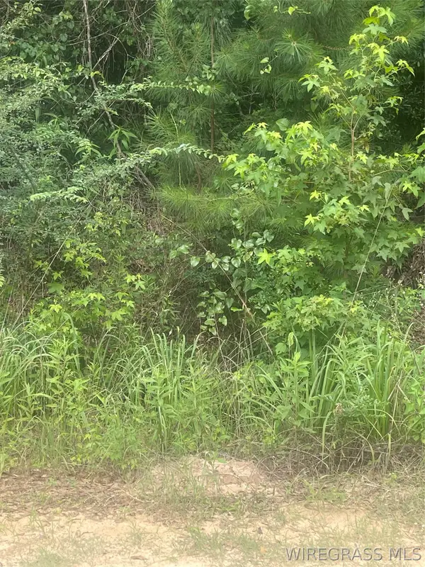 0 E Forest Drive #Lot 48-58, Daleville, AL 36322
