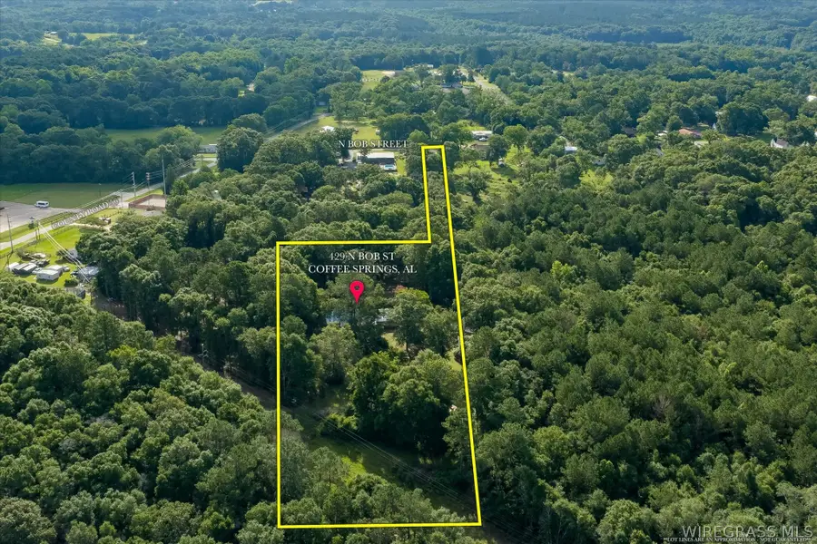 429 N Bob Street, Coffee Springs, AL 36318 - #2