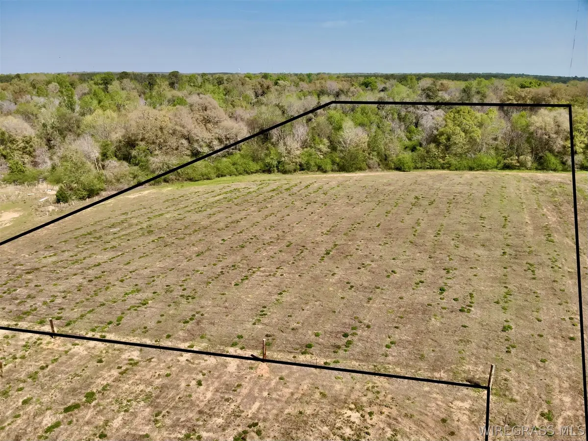 8.53 Acres Omussee Road, Dothan, AL 36303 - #1