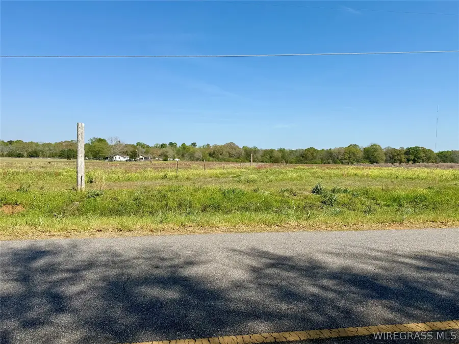 8.53 Acres Omussee Road, Dothan, AL 36303 - #2