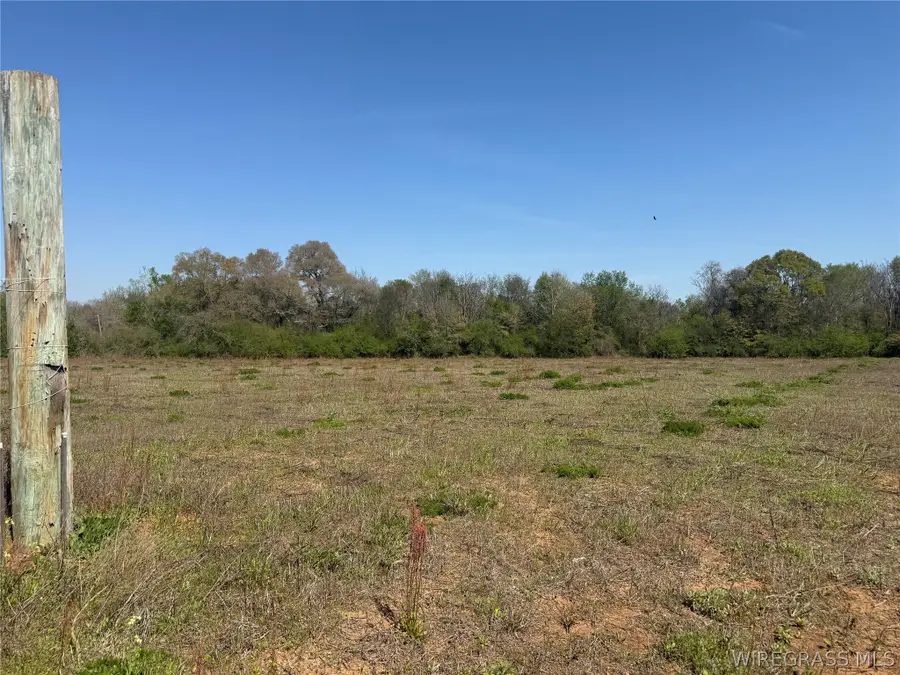 8.53 Acres Omussee Road, Dothan, AL 36303 - #3