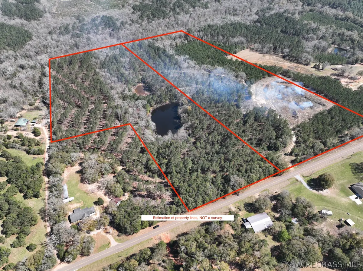 0 County Road 69 Highway, Skipperville, AL 36374 - #1