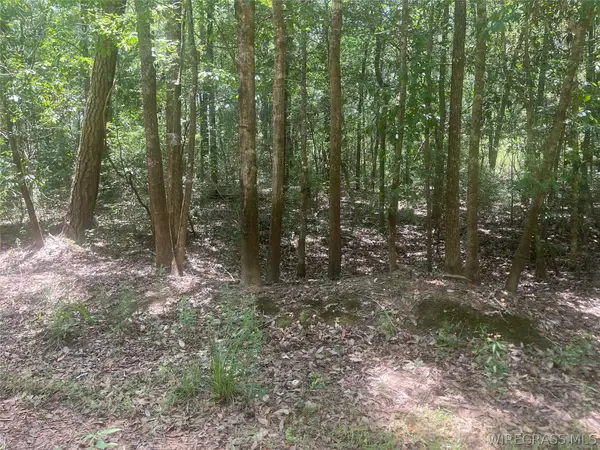 0 E Forest Drive #Lot 49-58, Daleville, AL 36322