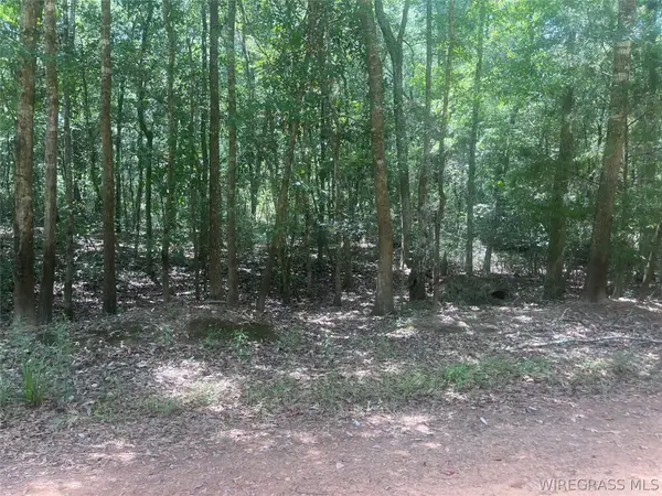 0 E Forest Drive #LOT 36, Daleville, AL 36322