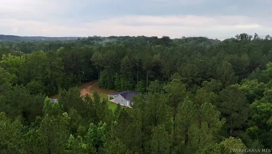 368 River Road, Ariton, AL 36311 - #2