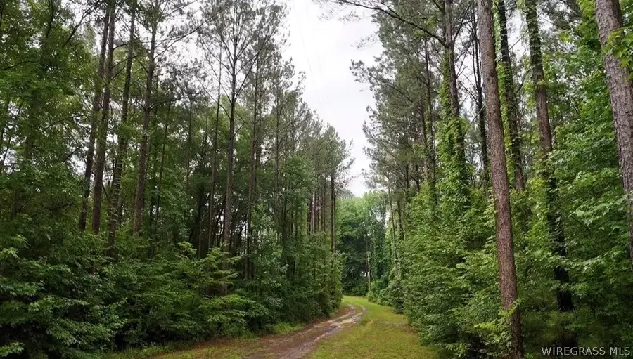 368 River Road, Ariton, AL 36311 - #3