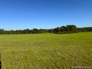 30341 Cool Springs Road, Opp, AL 36467 - #1