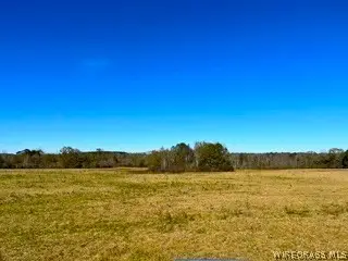 30341 Cool Springs Road, Opp, AL 36467 - #2