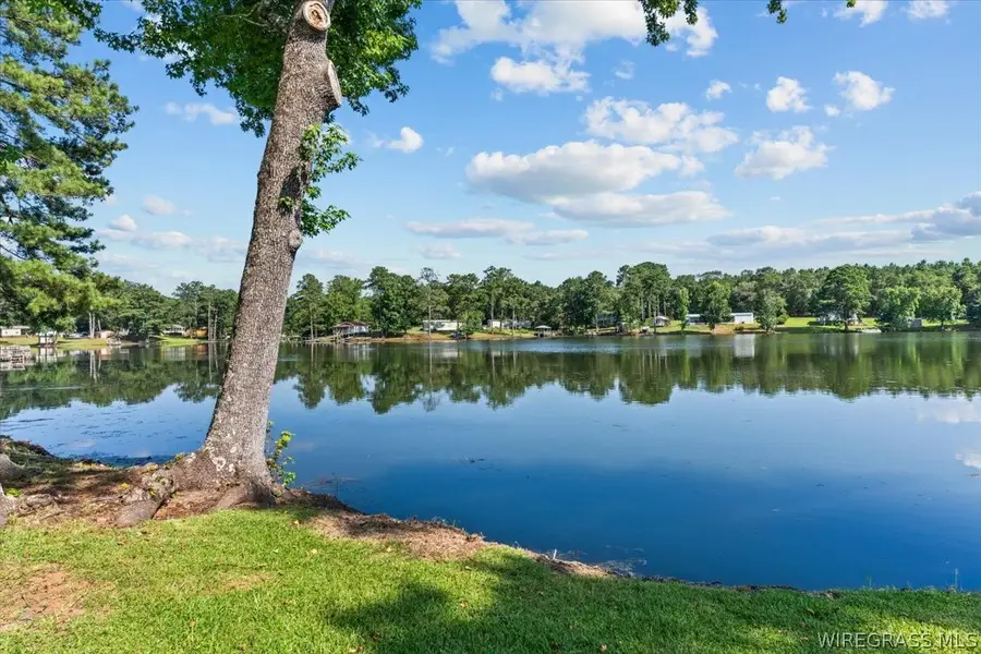 236 Windsor Lake Road, Chancellor, AL 36316 - #2