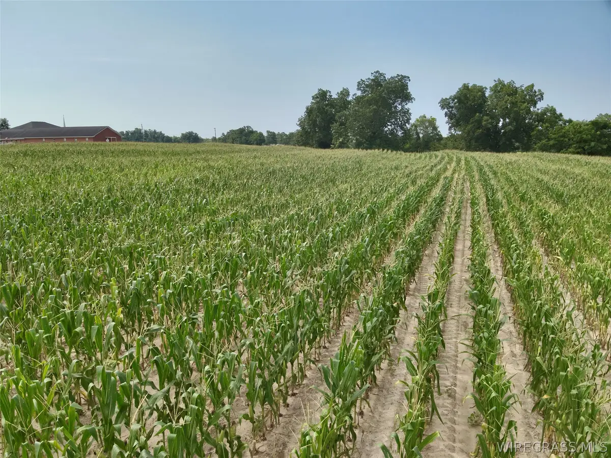 3.5 Acres Liberty Road, Pansey, AL 36370 - #1