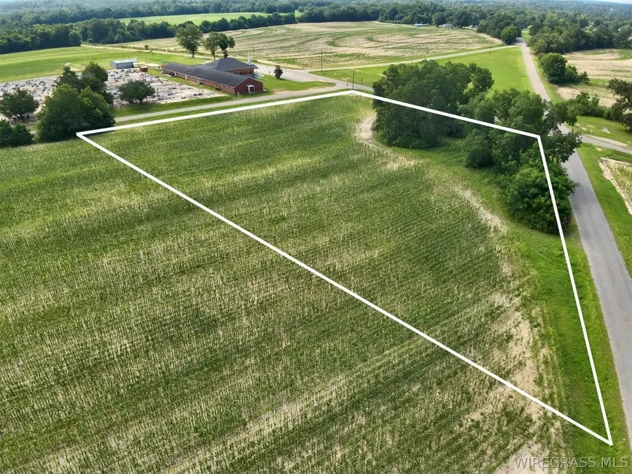 3.5 Acres Liberty Road, Pansey, AL 36370 - #2