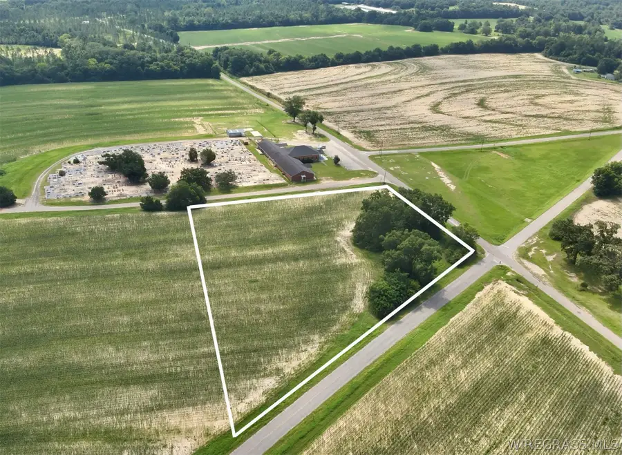 3.5 Acres Liberty Road, Pansey, AL 36370 - #3