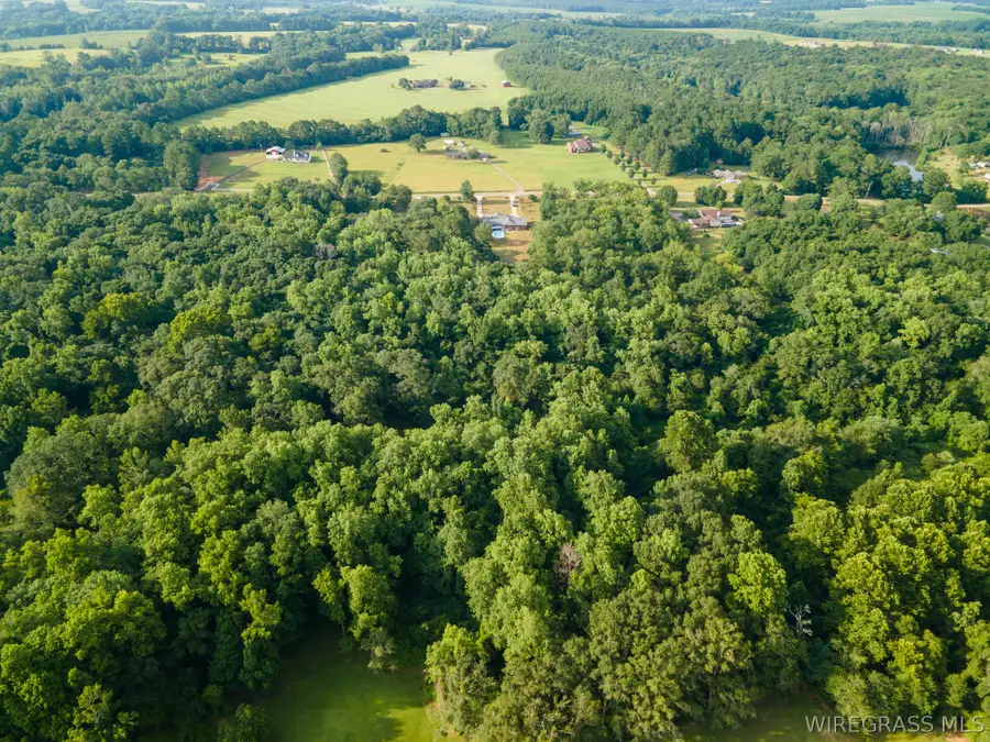 234 County Road 724, Enterprise, AL 36330 - #3