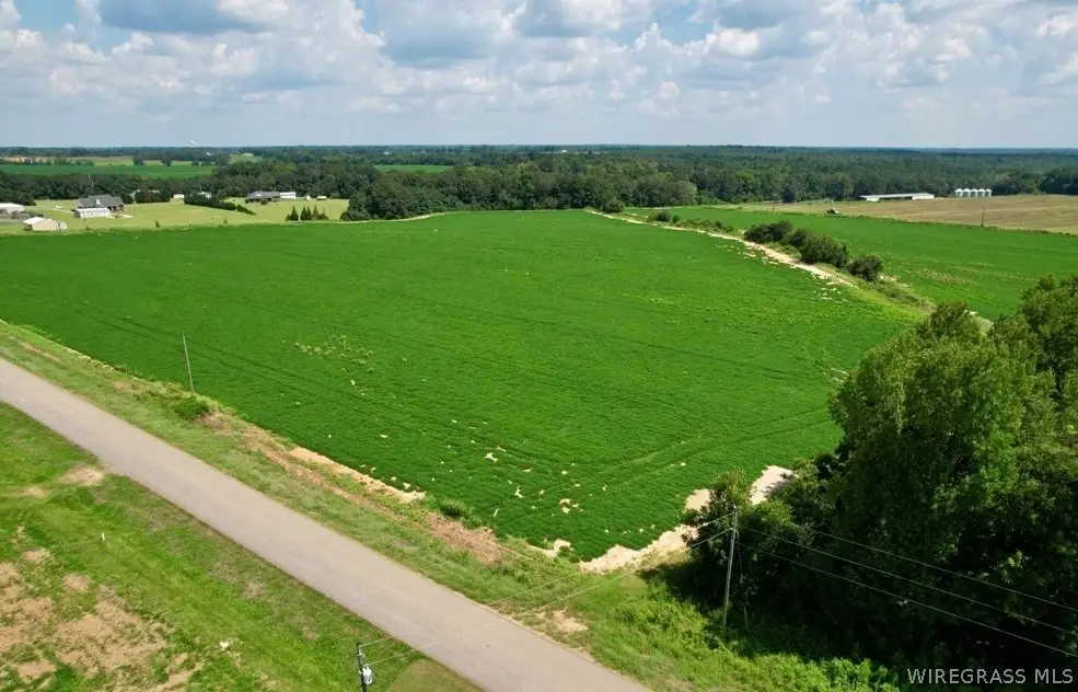 00 Judge Logue Road, Newton, AL 36352 - #1